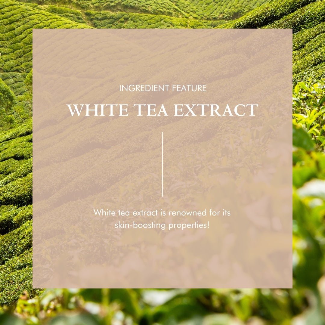 Organic Hyaluronic Acid Serum - Skin Plumper - Glowbox